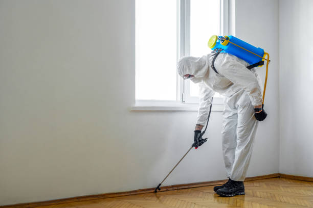 Best Pest Prevention Services  in Fort Drum, NY